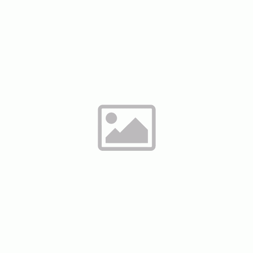 Csiszolószalag készlet BGS 8853-hoz, 10mm x 330mm, K60-K120, 12 db